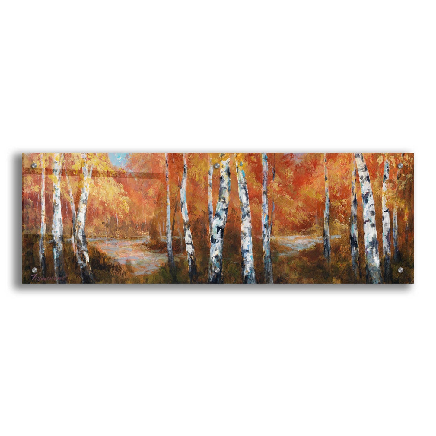 Epic Art 'Autumn Birch II' by Art Fronckowiak, Acrylic Glass Wall Art,36x12