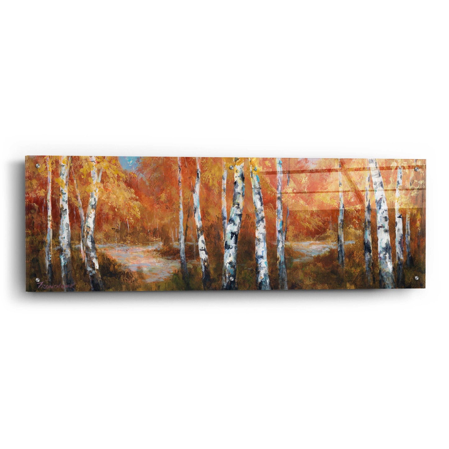 Epic Art 'Autumn Birch II' by Art Fronckowiak, Acrylic Glass Wall Art,48x16