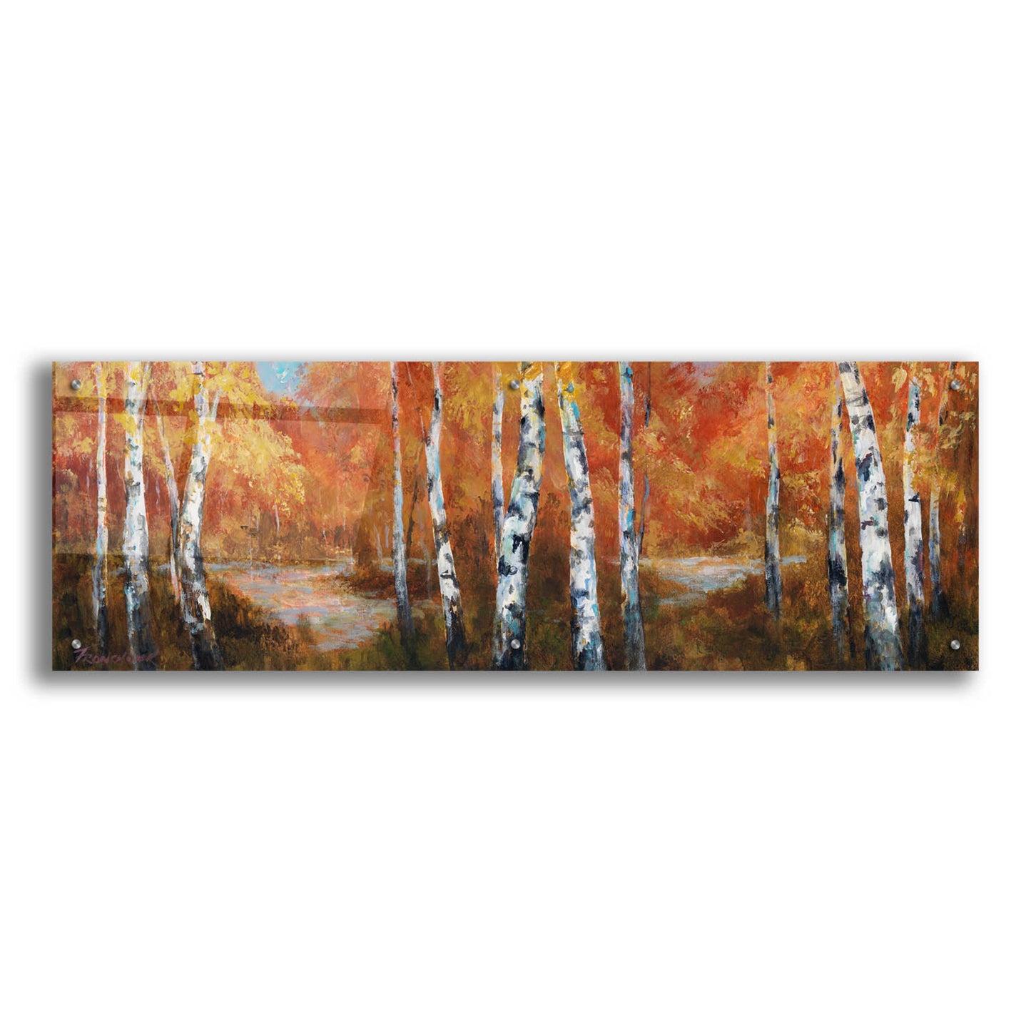 Epic Art 'Autumn Birch II' by Art Fronckowiak, Acrylic Glass Wall Art,48x16