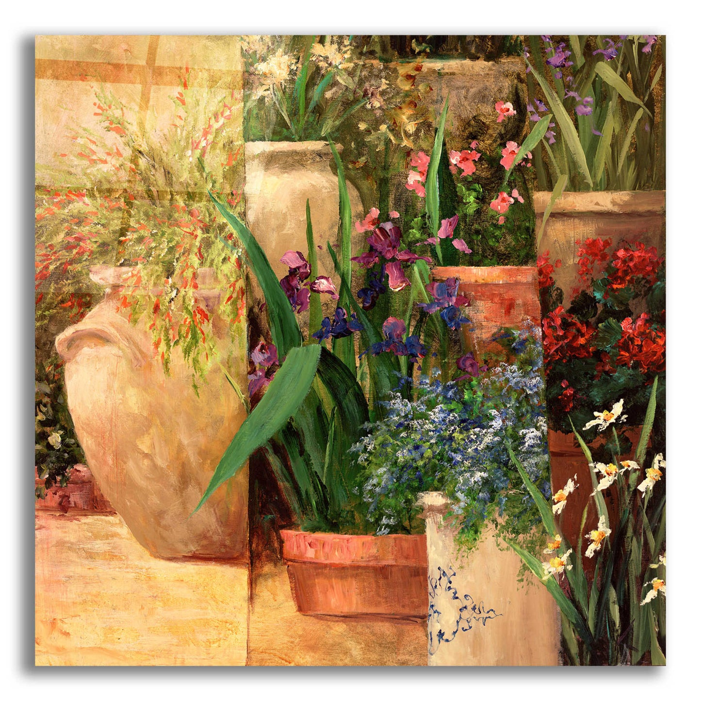 Epic Art 'Flower Pots Left' by Art Fronckowiak, Acrylic Glass Wall Art,12x12