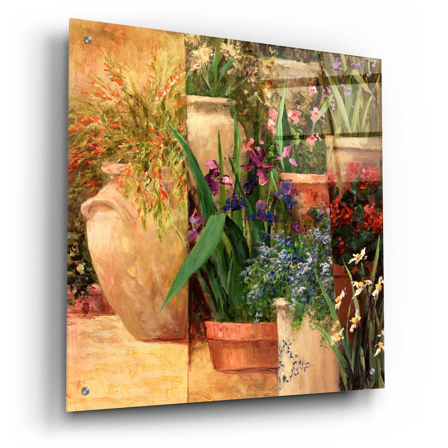 Epic Art 'Flower Pots Left' by Art Fronckowiak, Acrylic Glass Wall Art,24x24