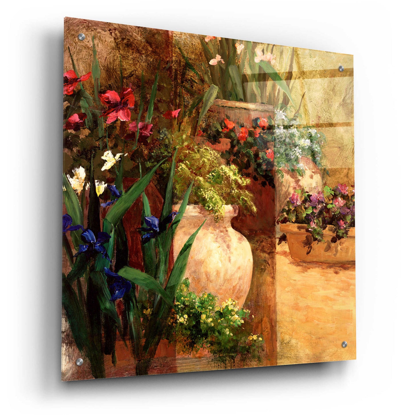 Epic Art 'Flower Pots Right' by Art Fronckowiak, Acrylic Glass Wall Art,24x24