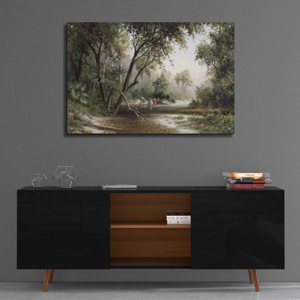 Epic Art 'Forked Creek' by Art Fronckowiak, Acrylic Glass Wall Art,36x24
