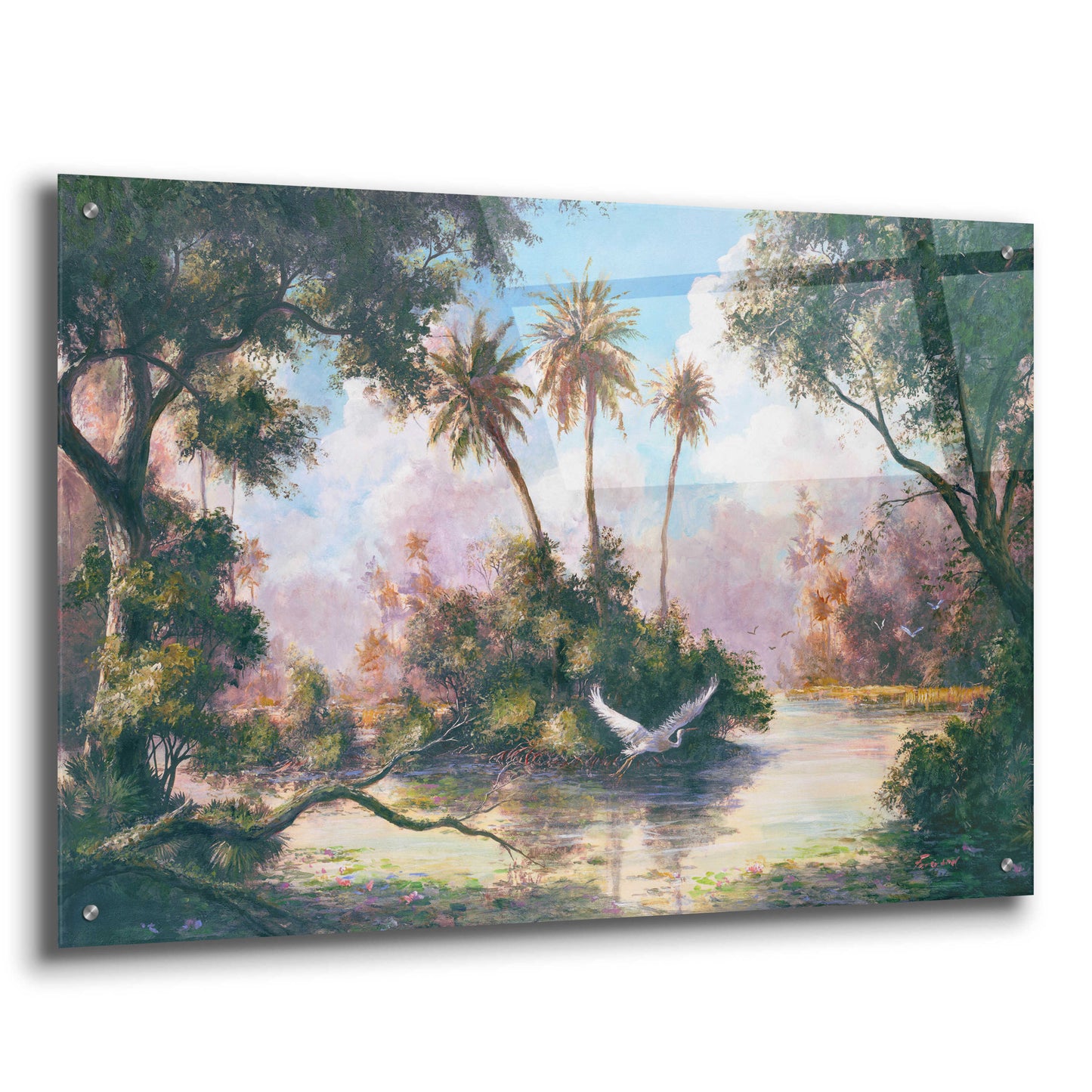 Epic Art 'Glades Hammock' by Art Fronckowiak, Acrylic Glass Wall Art,36x24