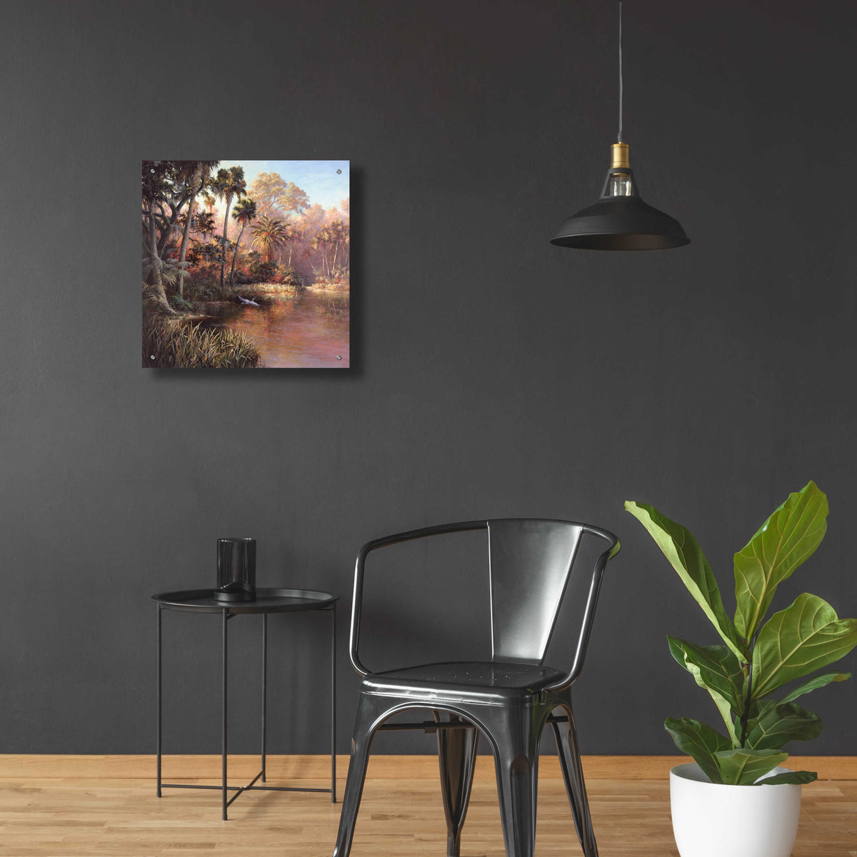 Epic Art 'Myakka Sunset' by Art Fronckowiak, Acrylic Glass Wall Art,24x24