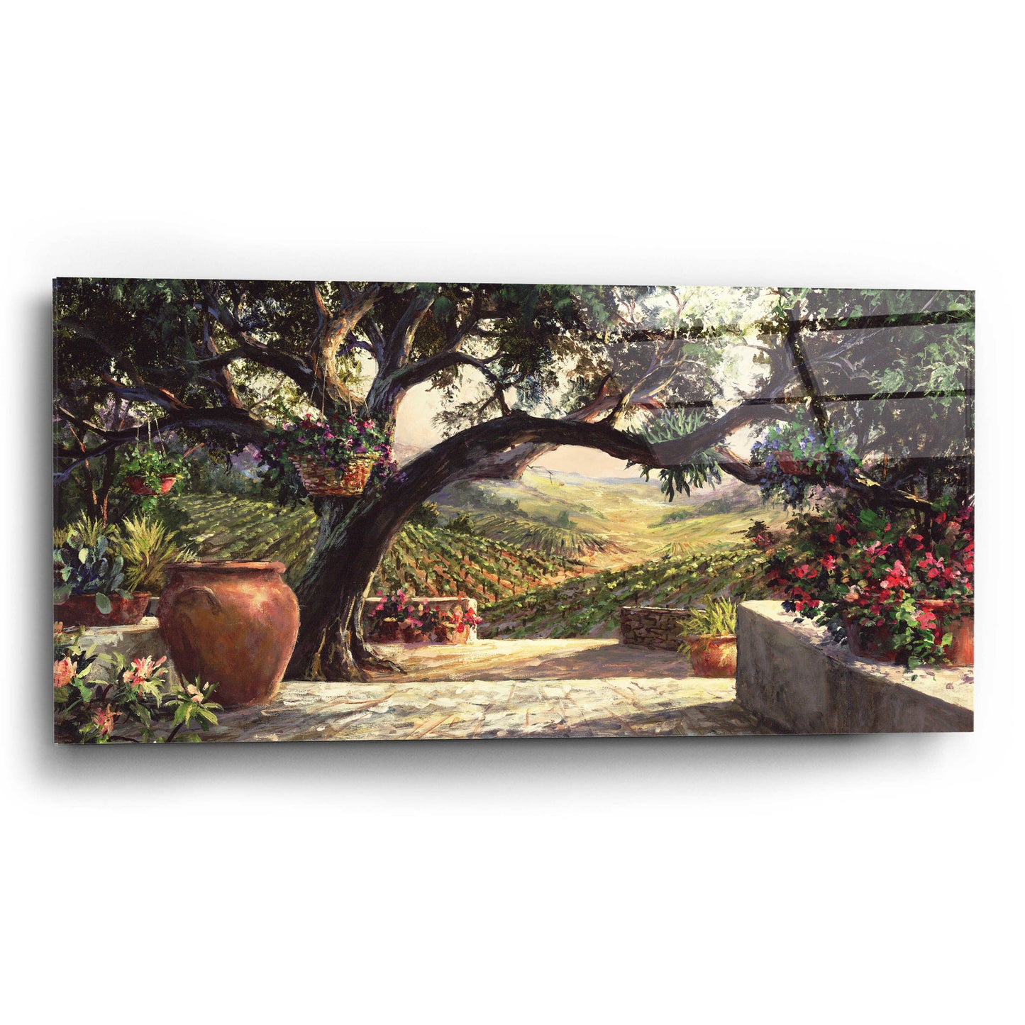 Epic Art 'Napa Patio' by Art Fronckowiak, Acrylic Glass Wall Art,24x12