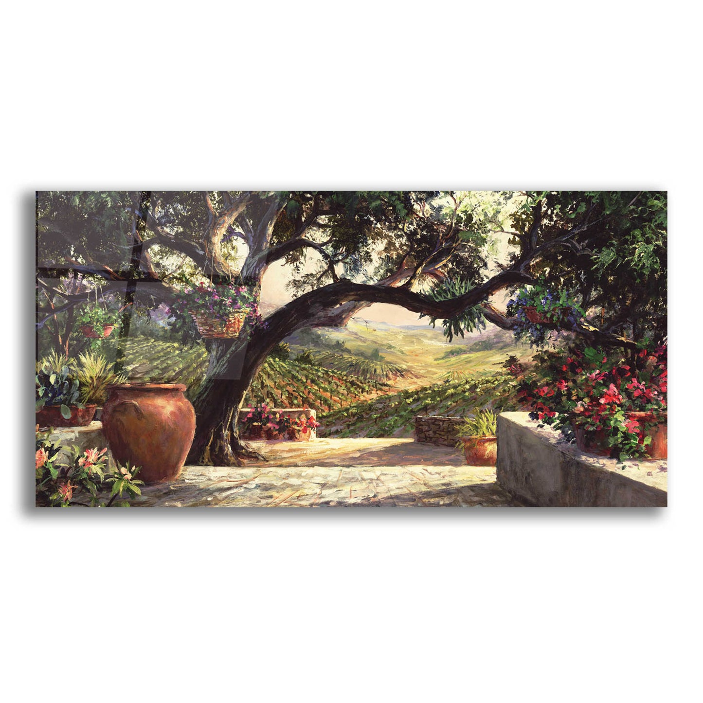 Epic Art 'Napa Patio' by Art Fronckowiak, Acrylic Glass Wall Art,24x12