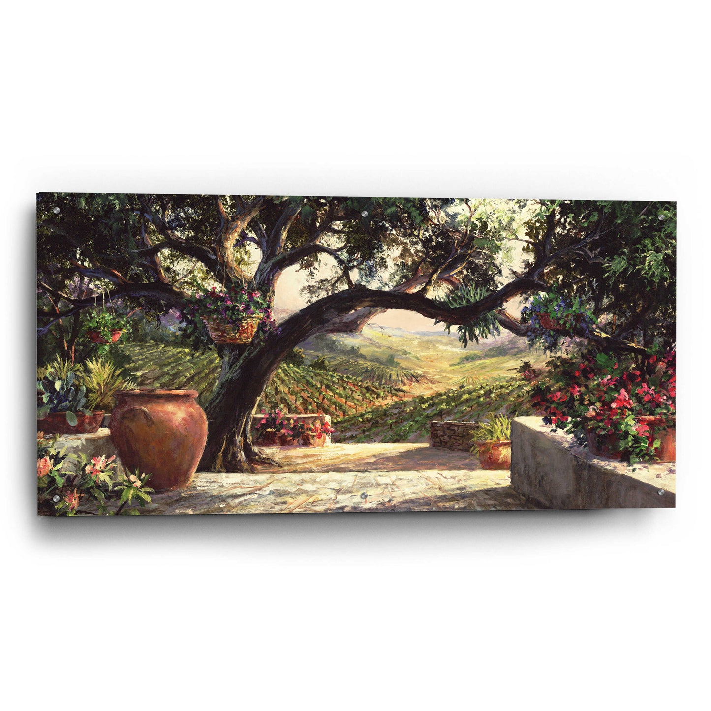 Epic Art 'Napa Patio' by Art Fronckowiak, Acrylic Glass Wall Art,48x24