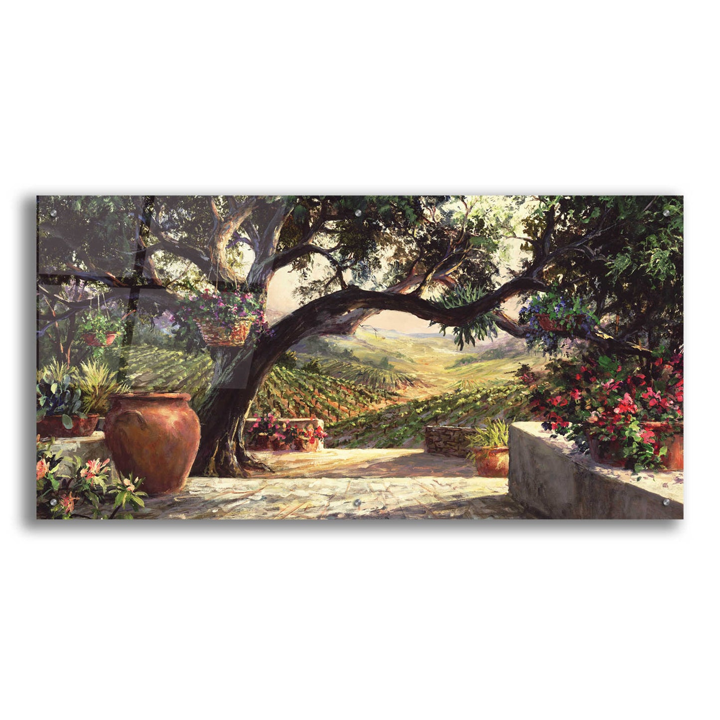 Epic Art 'Napa Patio' by Art Fronckowiak, Acrylic Glass Wall Art,48x24