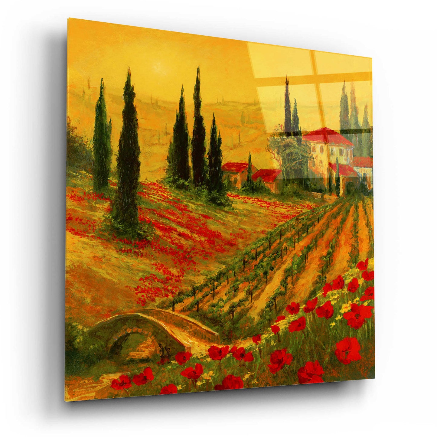 Epic Art 'Poppies of Toscano I' by Art Fronckowiak, Acrylic Glass Wall Art,12x12