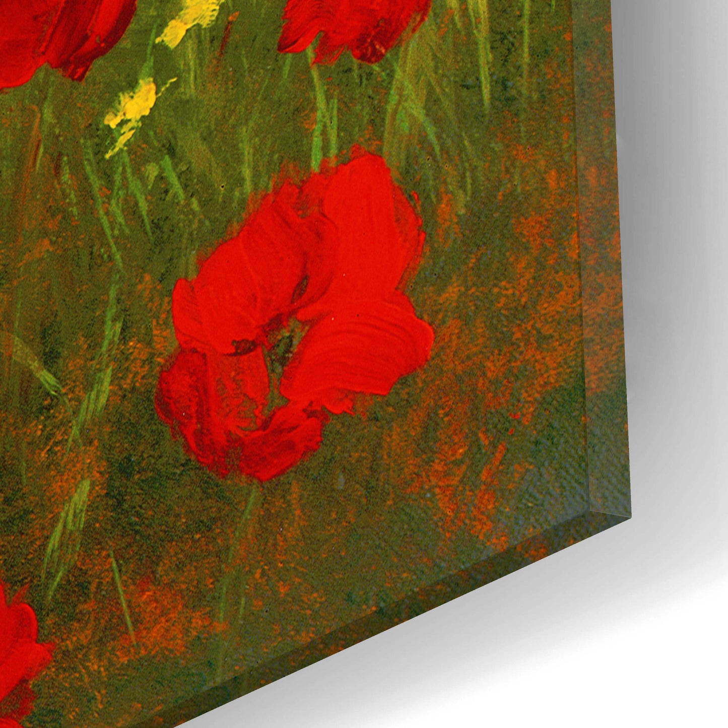 Epic Art 'Poppies of Toscano I' by Art Fronckowiak, Acrylic Glass Wall Art,12x12