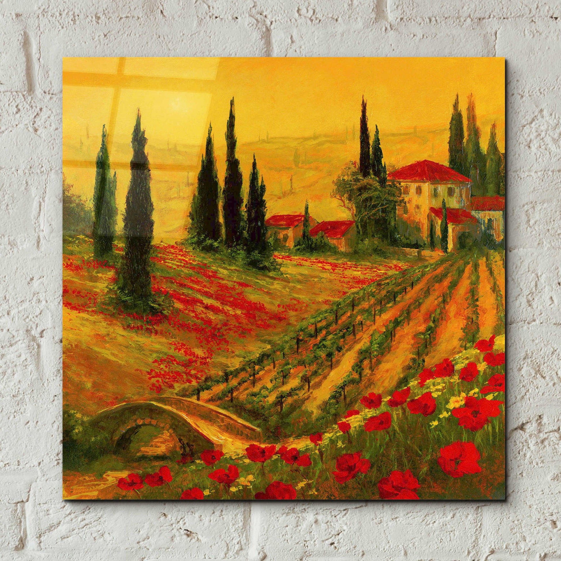 Epic Art 'Poppies of Toscano I' by Art Fronckowiak, Acrylic Glass Wall Art,12x12