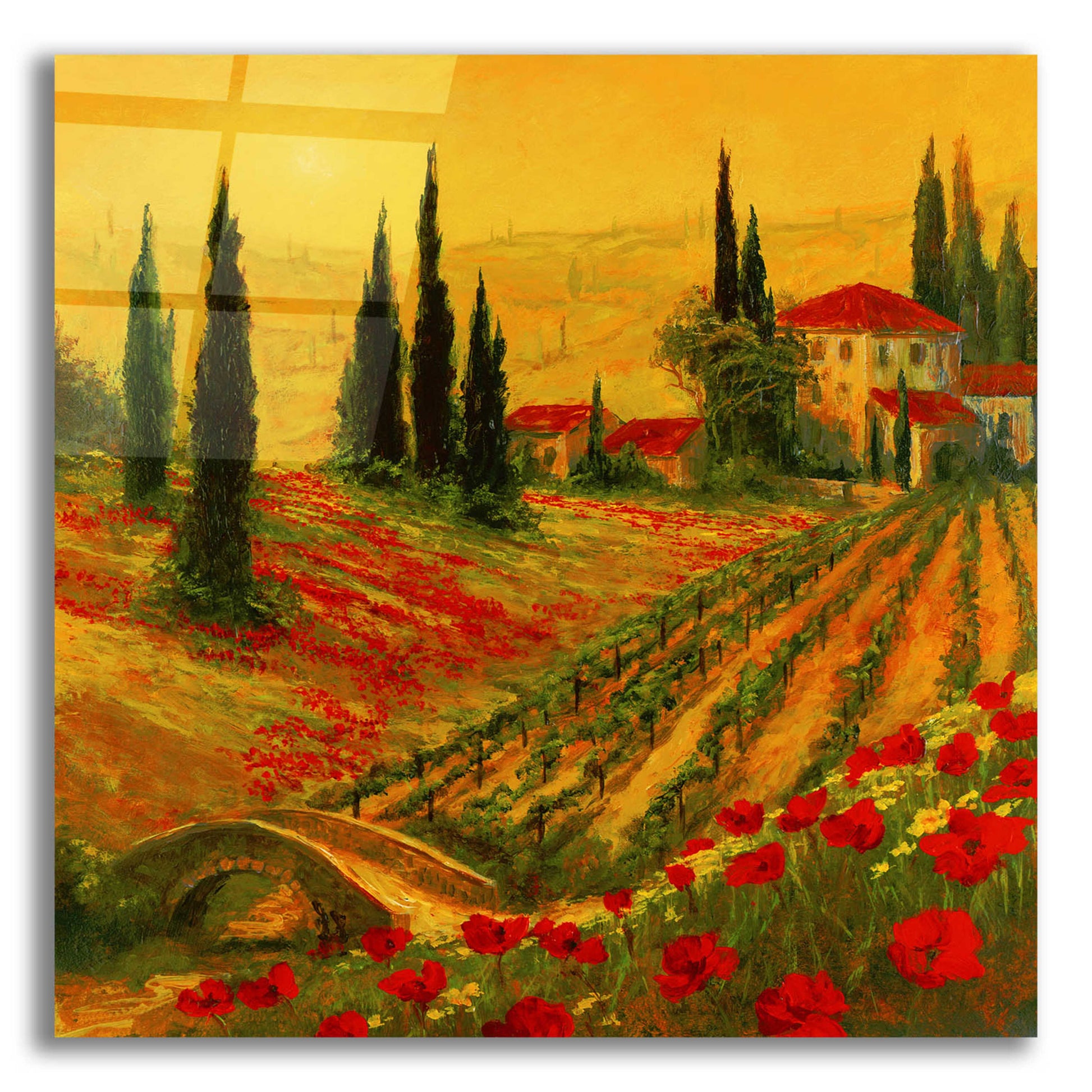 Epic Art 'Poppies of Toscano I' by Art Fronckowiak, Acrylic Glass Wall Art,12x12