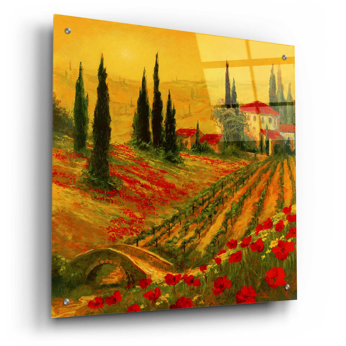 Epic Art 'Poppies of Toscano I' by Art Fronckowiak, Acrylic Glass Wall Art,24x24