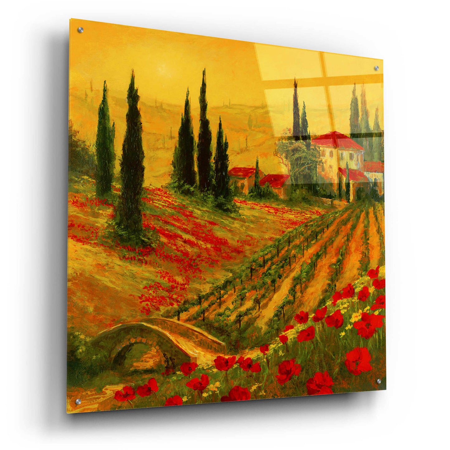 Epic Art 'Poppies of Toscano I' by Art Fronckowiak, Acrylic Glass Wall Art,36x36