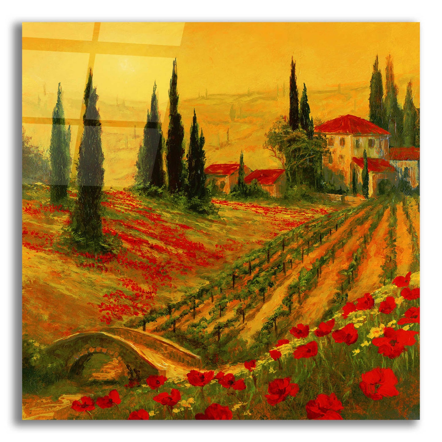 Epic Art 'Poppies of Toscano I' by Art Fronckowiak, Acrylic Glass Wall Art