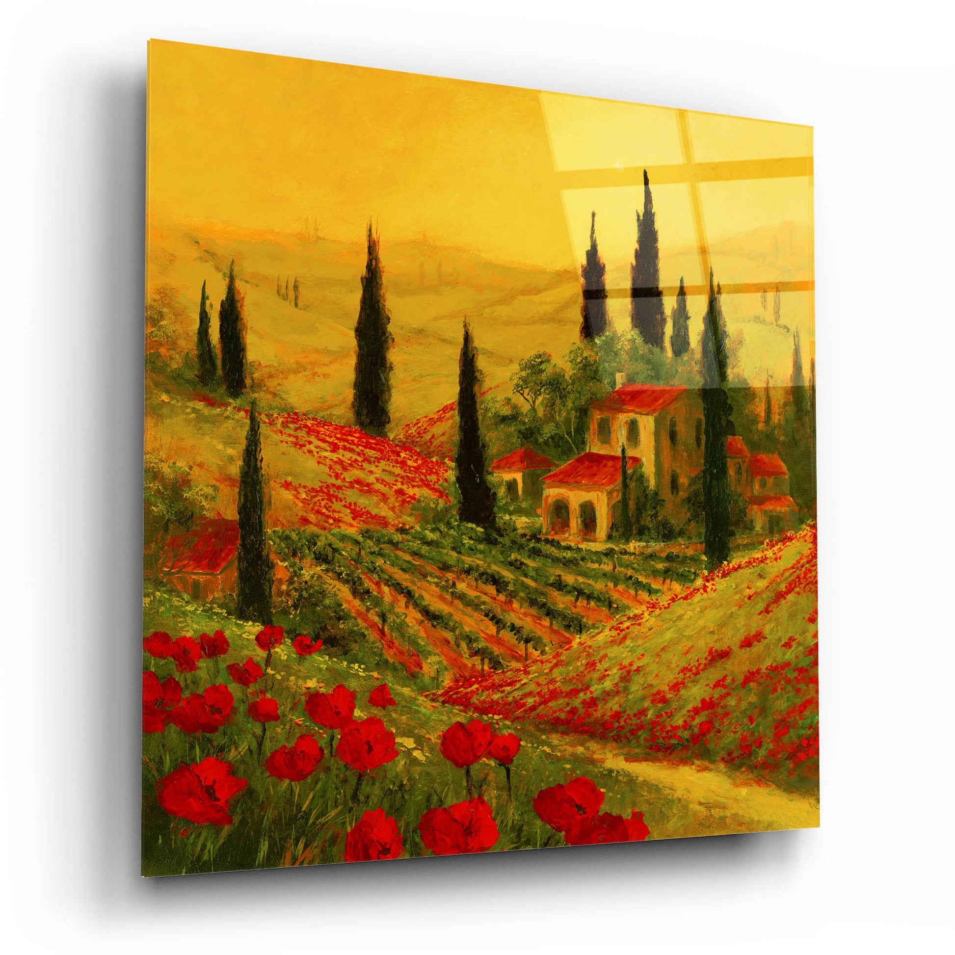 Epic Art 'Poppies of Toscano II' by Art Fronckowiak, Acrylic Glass Wall Art,12x12