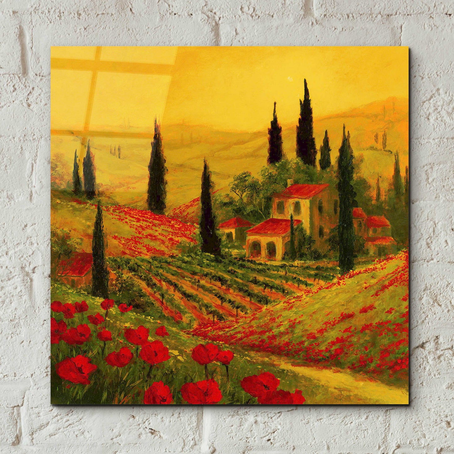 Epic Art 'Poppies of Toscano II' by Art Fronckowiak, Acrylic Glass Wall Art,12x12