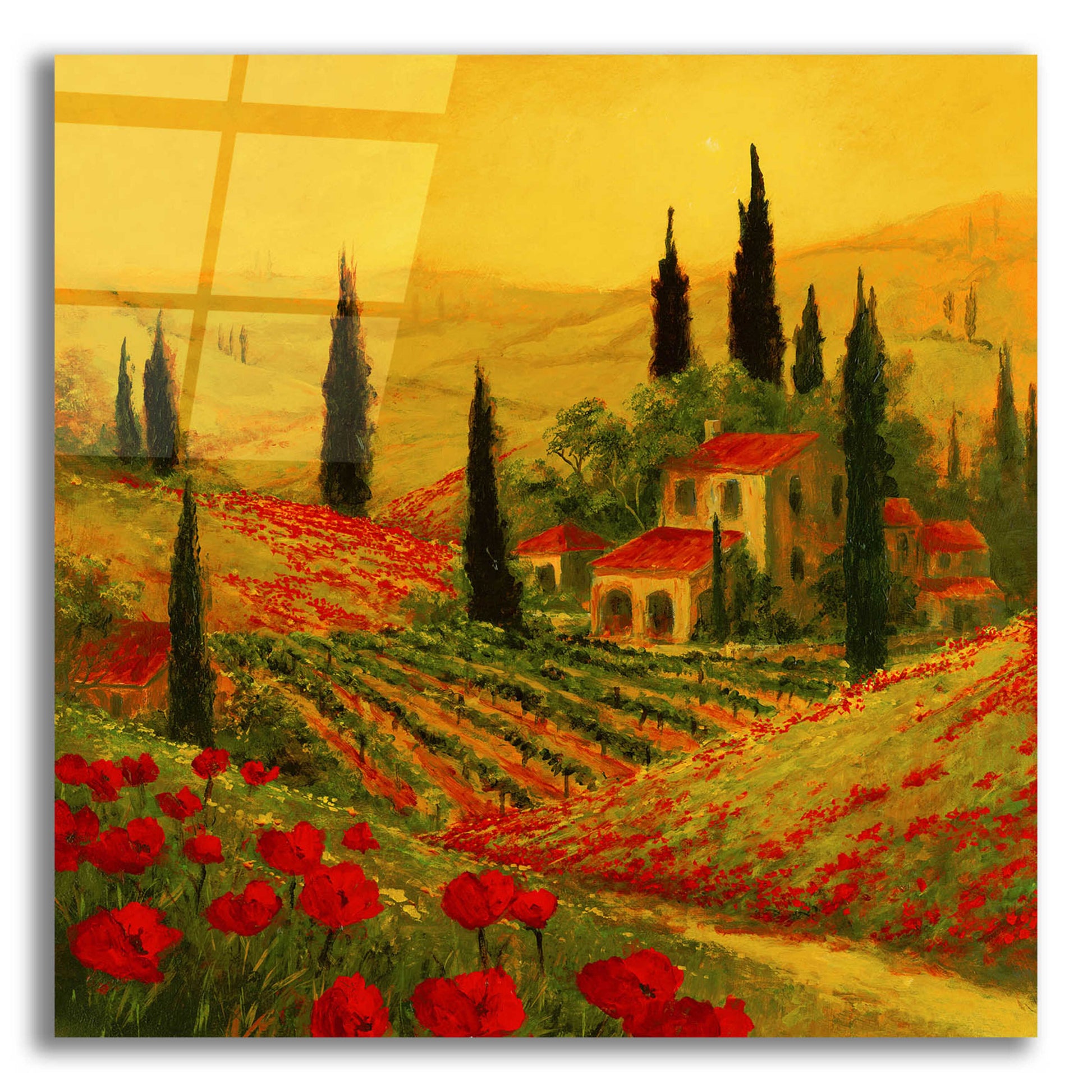 Epic Art 'Poppies of Toscano II' by Art Fronckowiak, Acrylic Glass Wall Art,12x12