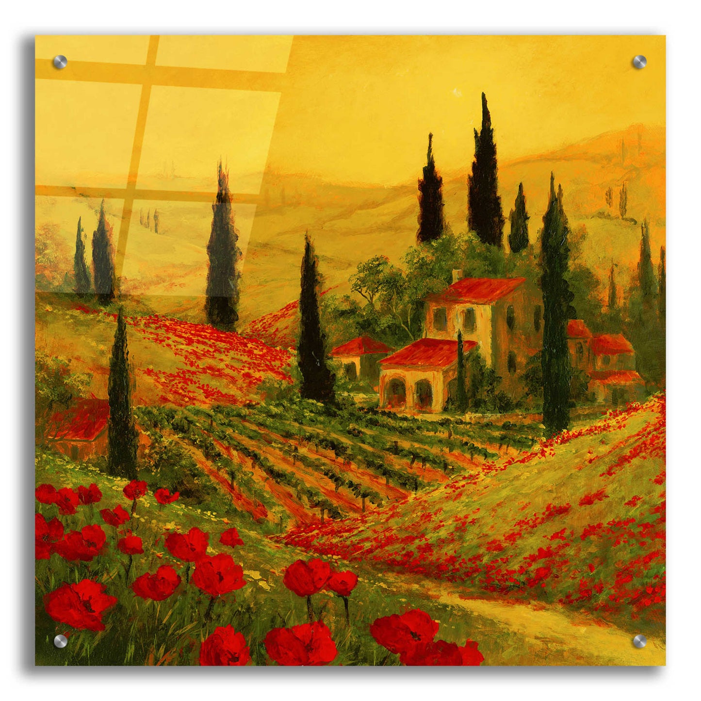 Epic Art 'Poppies of Toscano II' by Art Fronckowiak, Acrylic Glass Wall Art,24x24