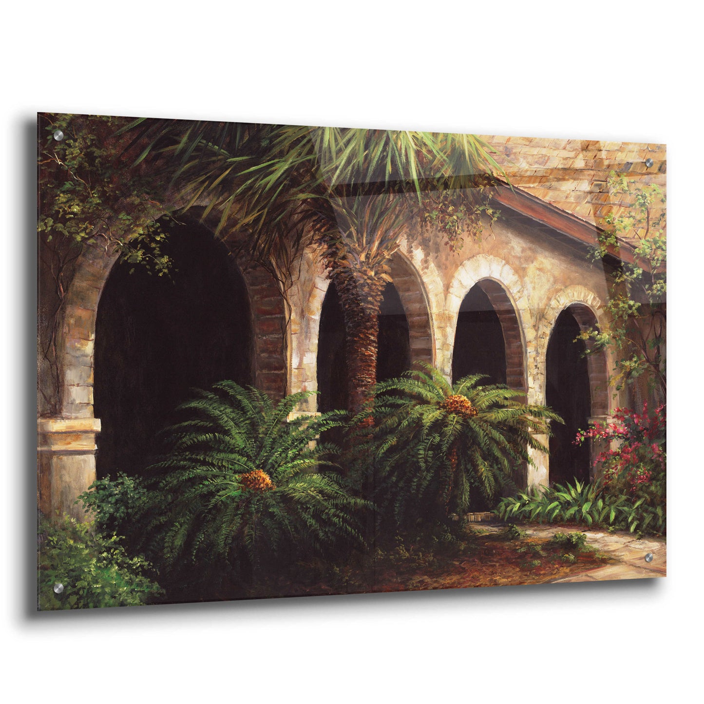 Epic Art 'Sago Arches' by Art Fronckowiak, Acrylic Glass Wall Art,36x24