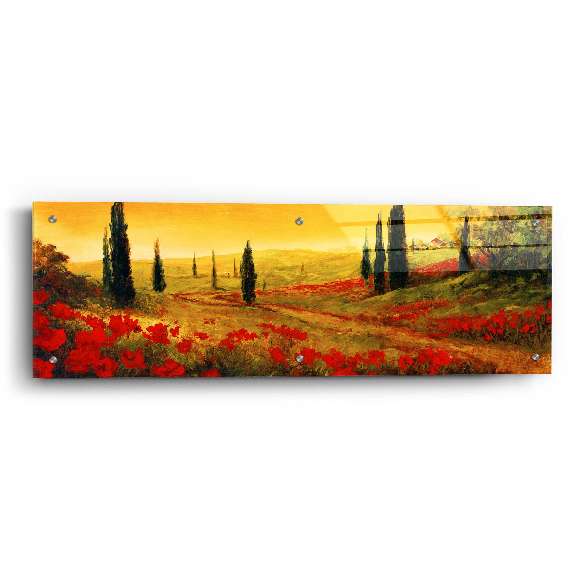 Epic Art 'Toscano Panel I' by Art Fronckowiak, Acrylic Glass Wall Art,36x12