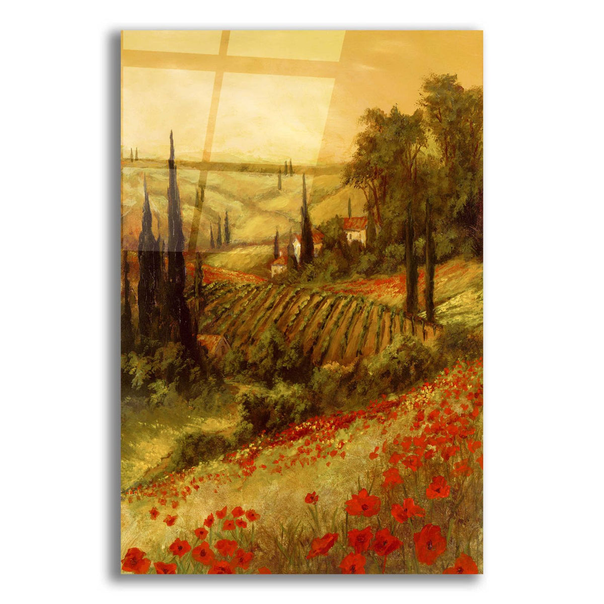 Toscano Valley II by Art Fronckowiak acrylic glass wall art
