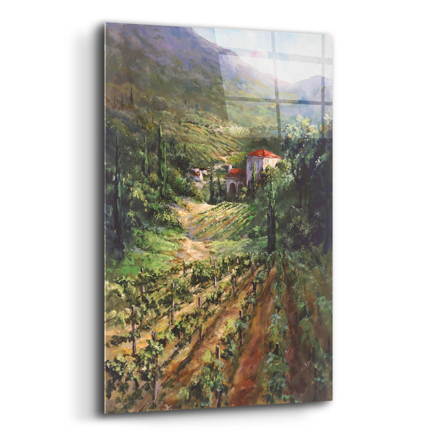 Epic Art 'Tuscany Vineyard' by Art Fronckowiak, Acrylic Glass Wall Art,12x16