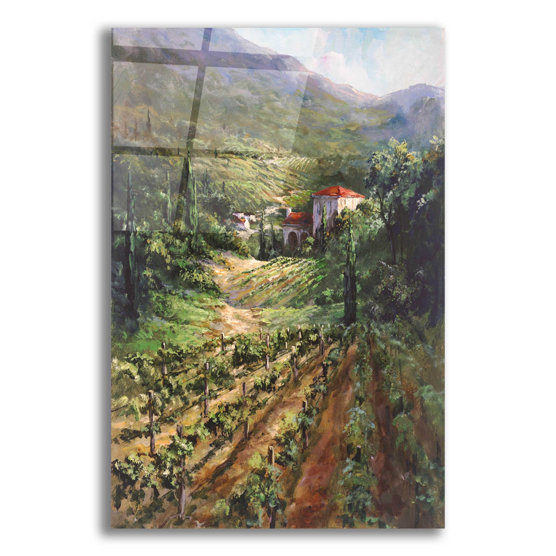 Epic Art 'Tuscany Vineyard' by Art Fronckowiak, Acrylic Glass Wall Art,12x16