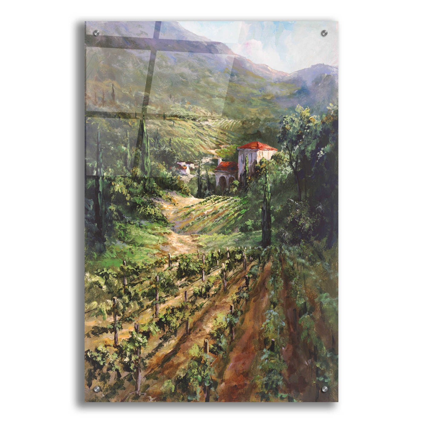 Epic Art 'Tuscany Vineyard' by Art Fronckowiak, Acrylic Glass Wall Art,24x36