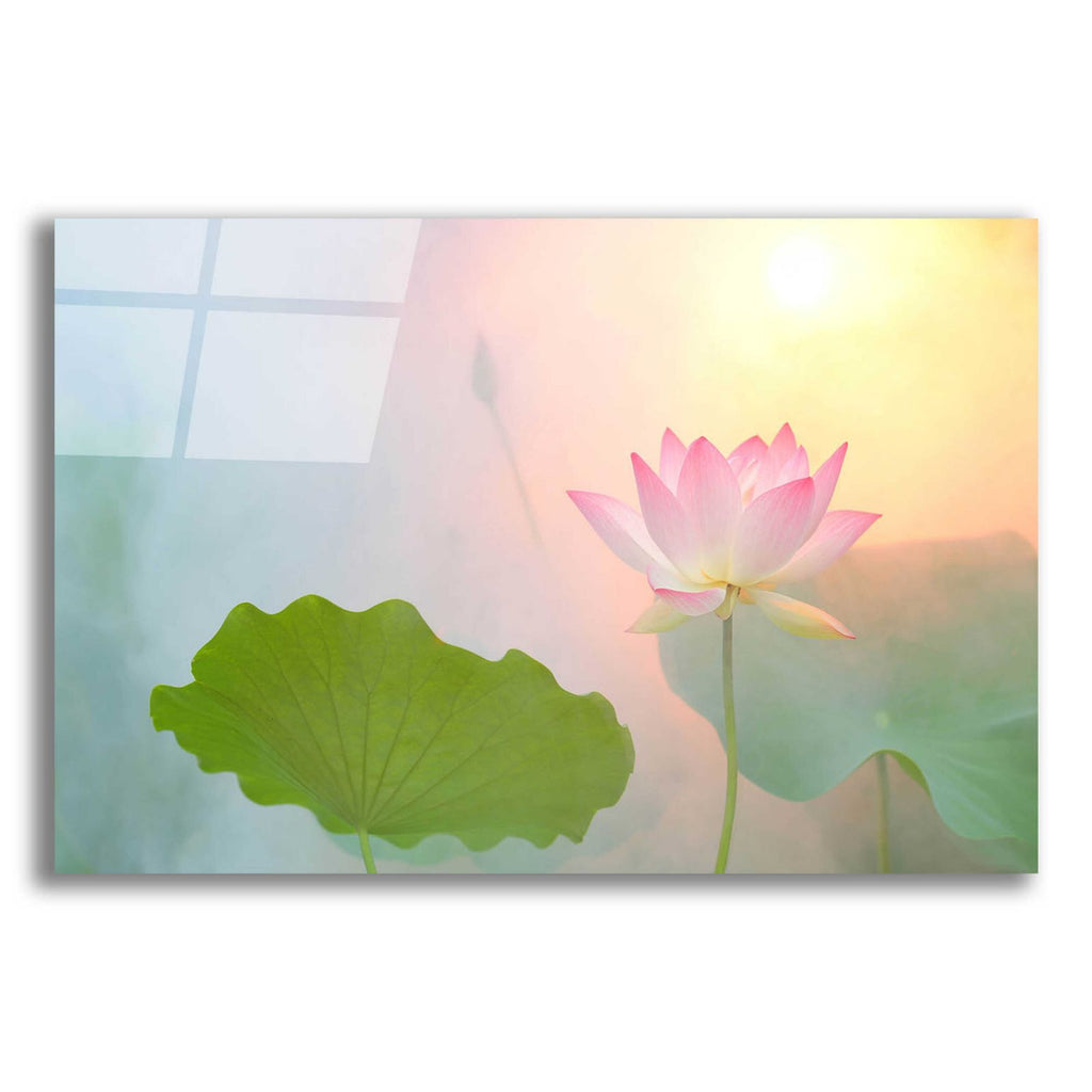 Serenity by Bahman Farzad acrylic glass wall art