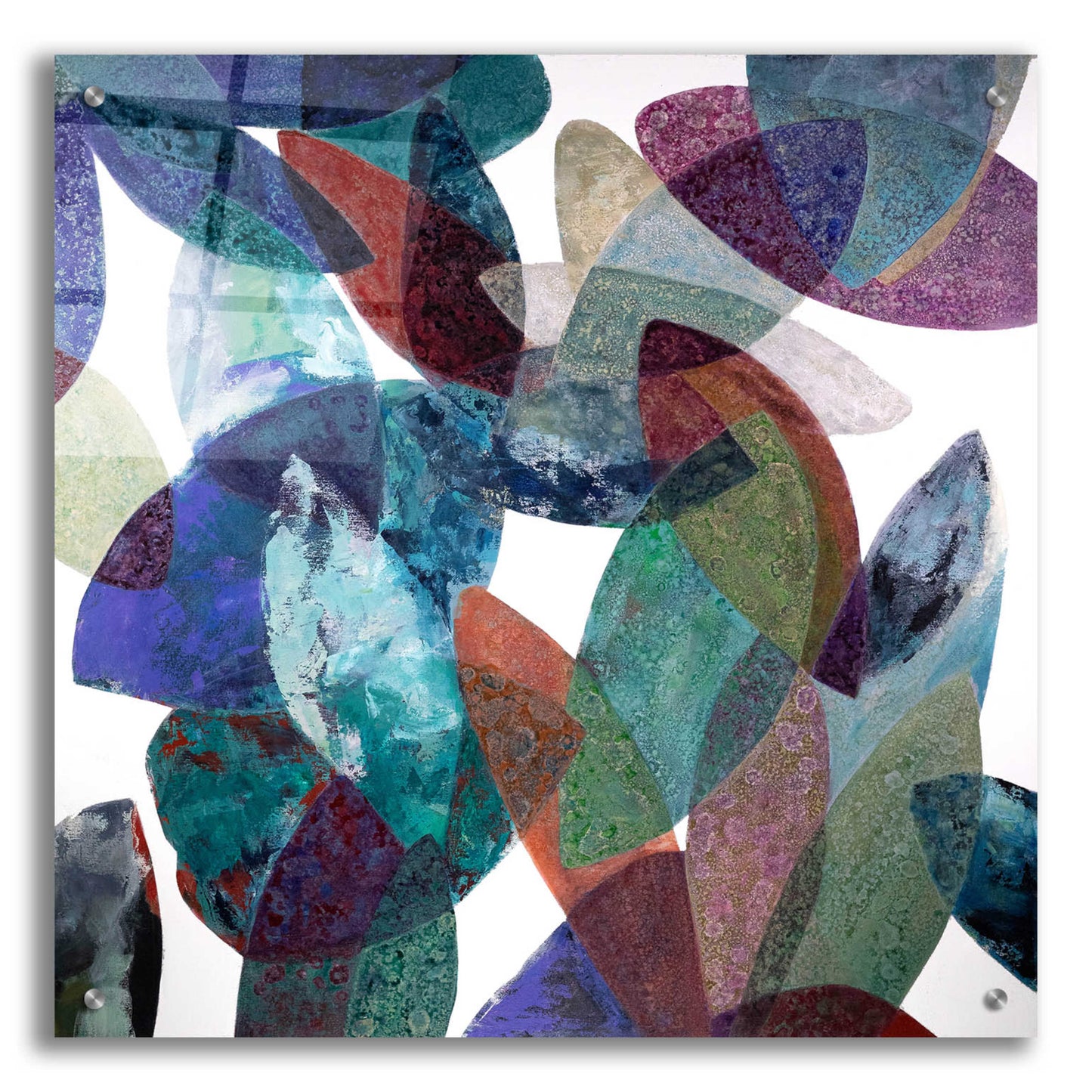 Epic Art 'Hojas Petreas III' by Daniela Fedele, Acrylic Glass Wall Art,24x24