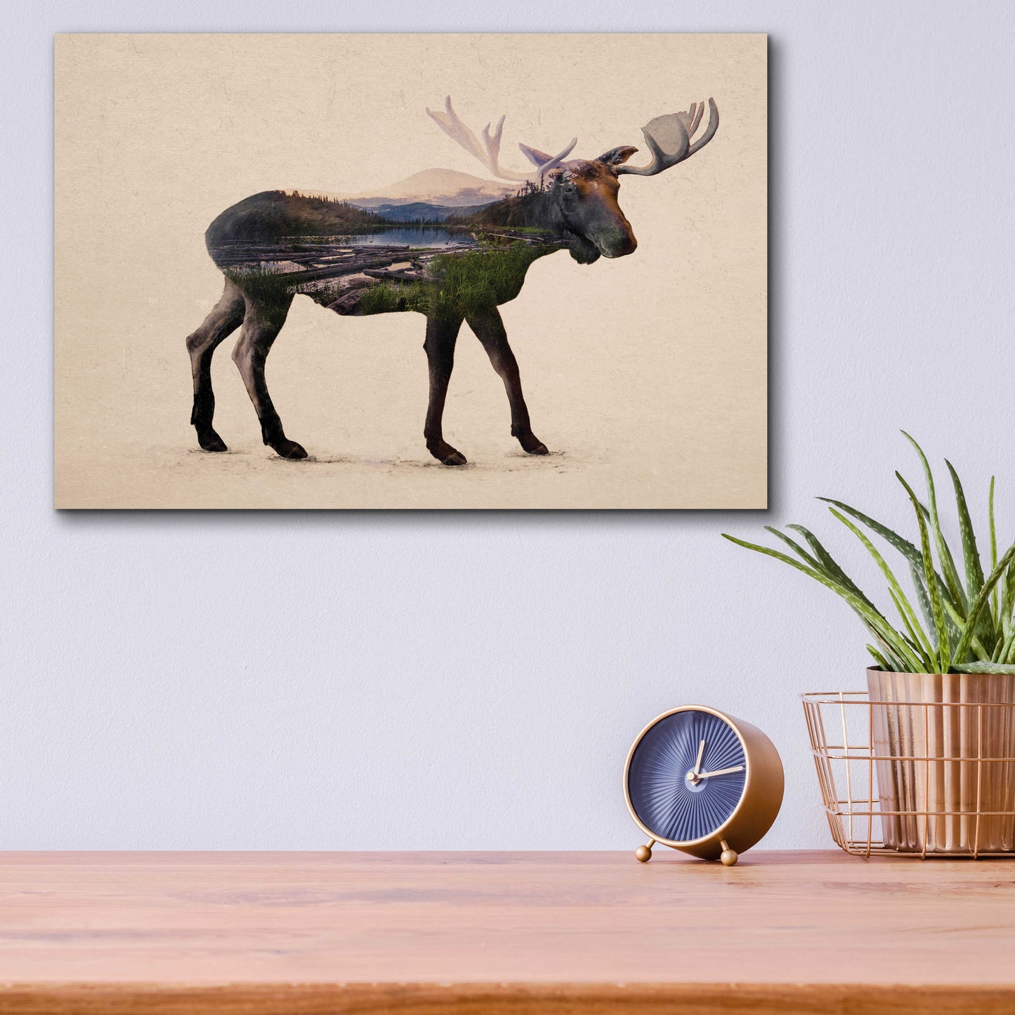 Epic Art 'The Alaskan Bull Moose' by Davies Babies, Acrylic Glass Wall Art,16x12