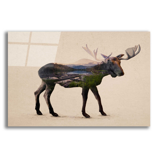 Epic Art 'The Alaskan Bull Moose' by Davies Babies, Acrylic Glass Wall Art