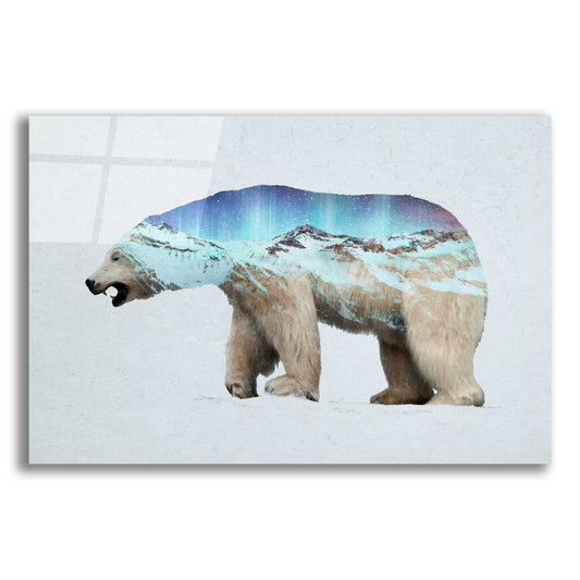 Epic Art 'The Arctic Polar Bear' by Davies Babies, Acrylic Glass Wall Art