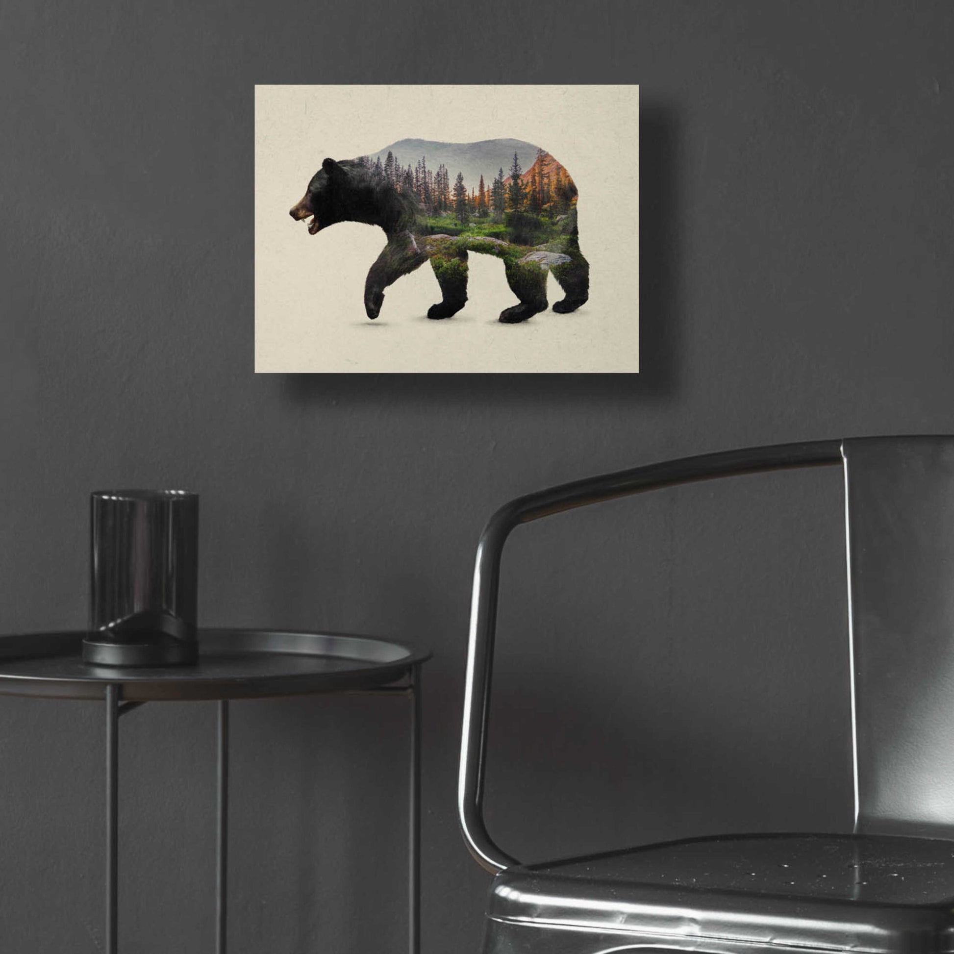 Epic Art 'The North American Black Bear' by Davies Babies, Acrylic Glass Wall Art,16x12