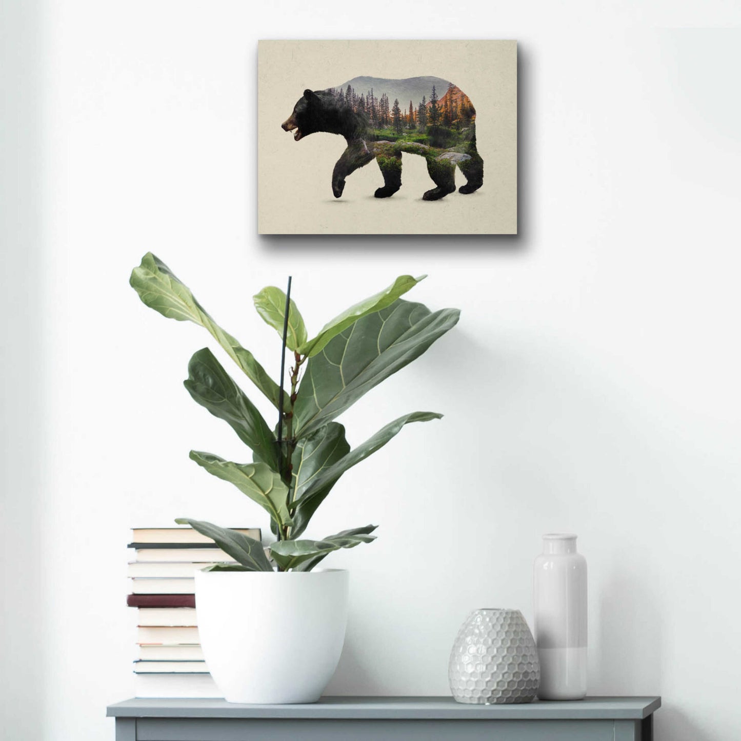 Epic Art 'The North American Black Bear' by Davies Babies, Acrylic Glass Wall Art,16x12