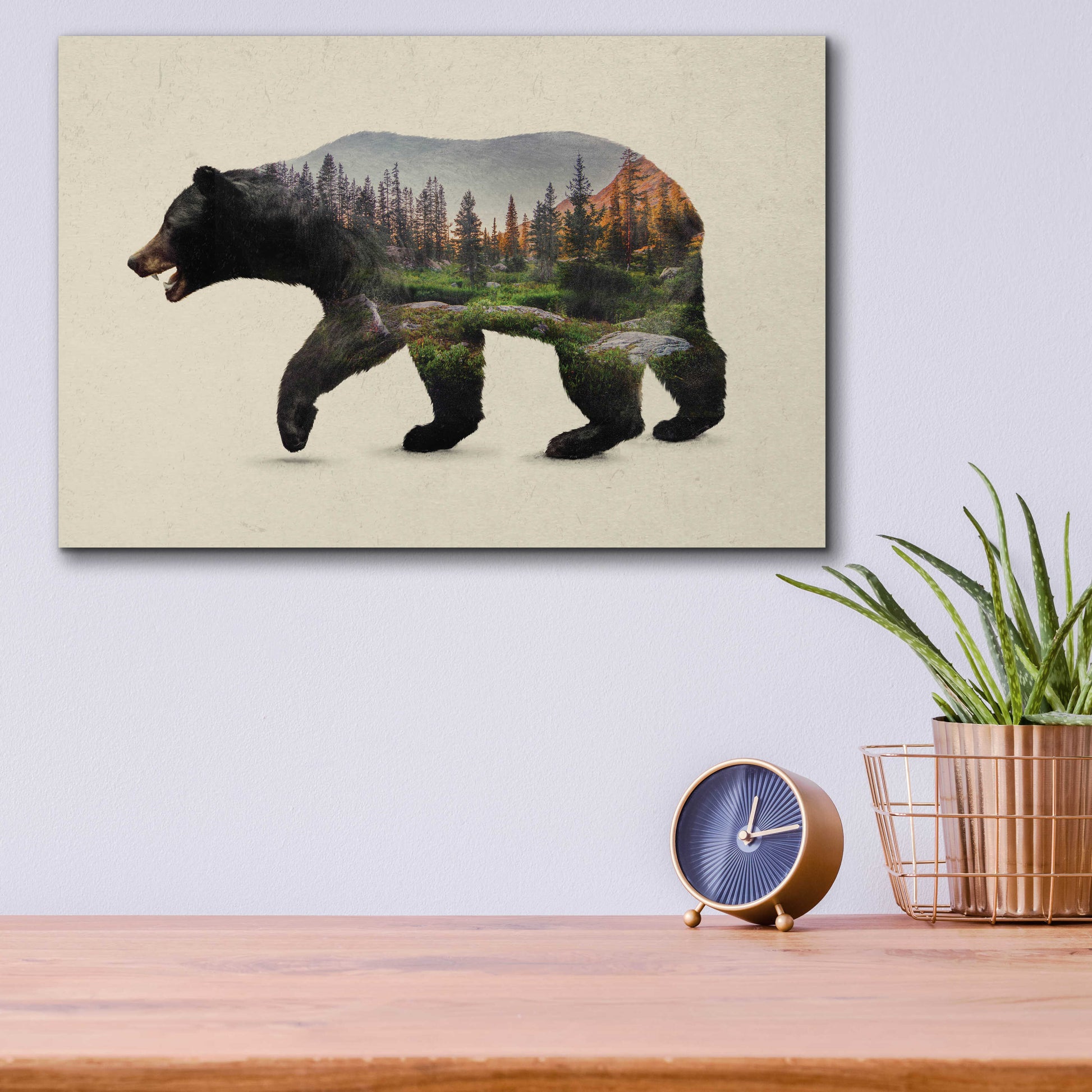 Epic Art 'The North American Black Bear' by Davies Babies, Acrylic Glass Wall Art,16x12