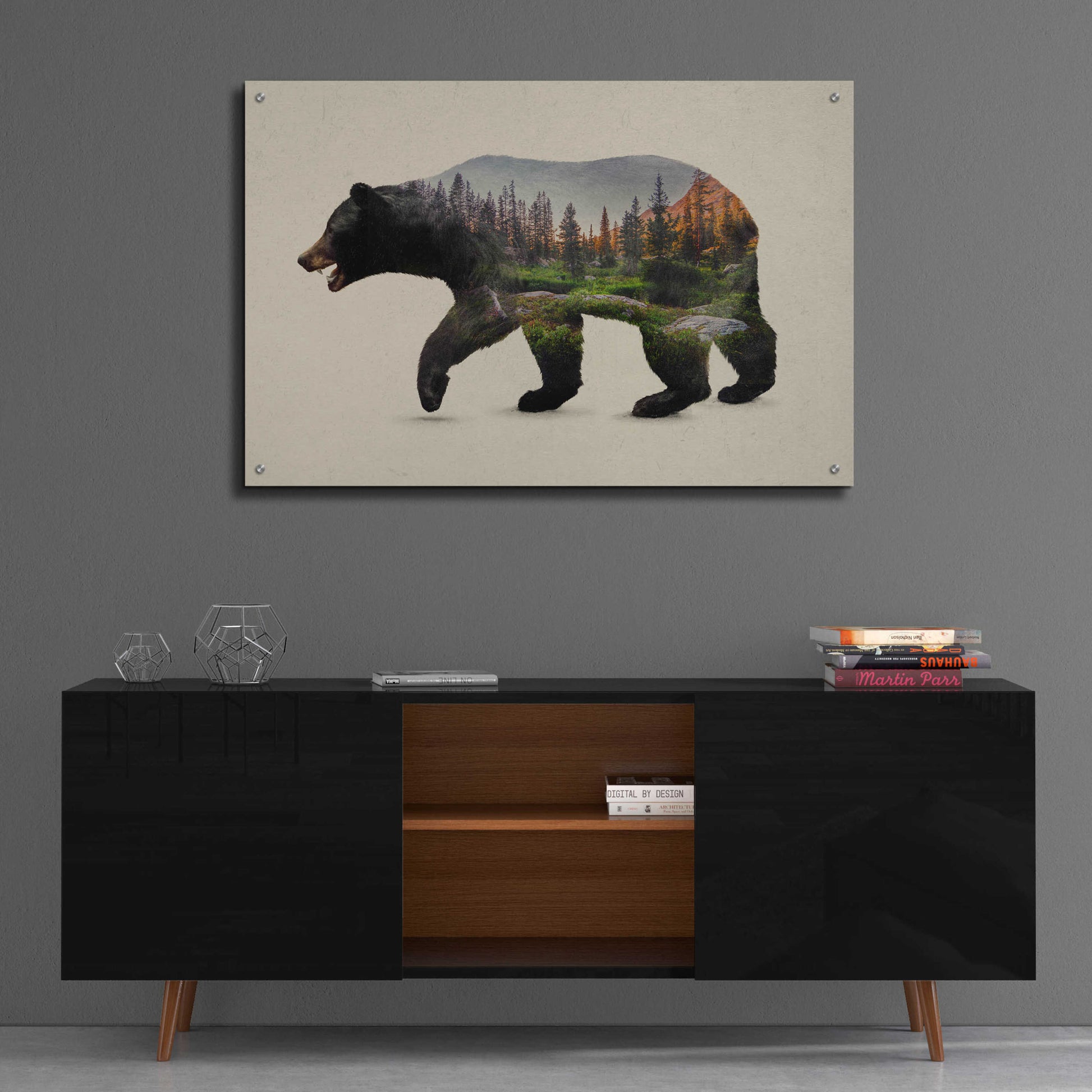 Epic Art 'The North American Black Bear' by Davies Babies, Acrylic Glass Wall Art,36x24