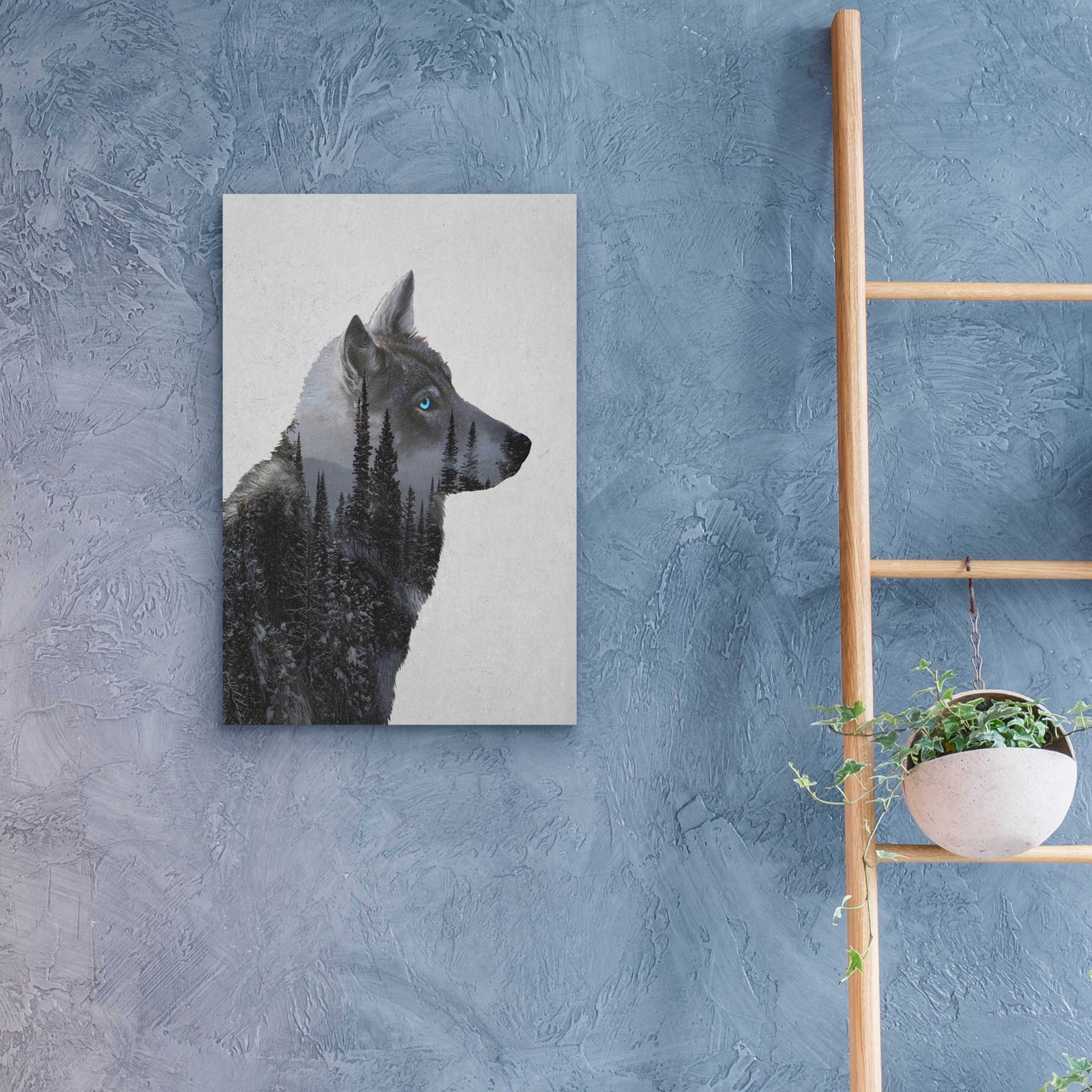 Epic Art 'Winter Wolf' by Davies Babies, Acrylic Glass Wall Art,16x24