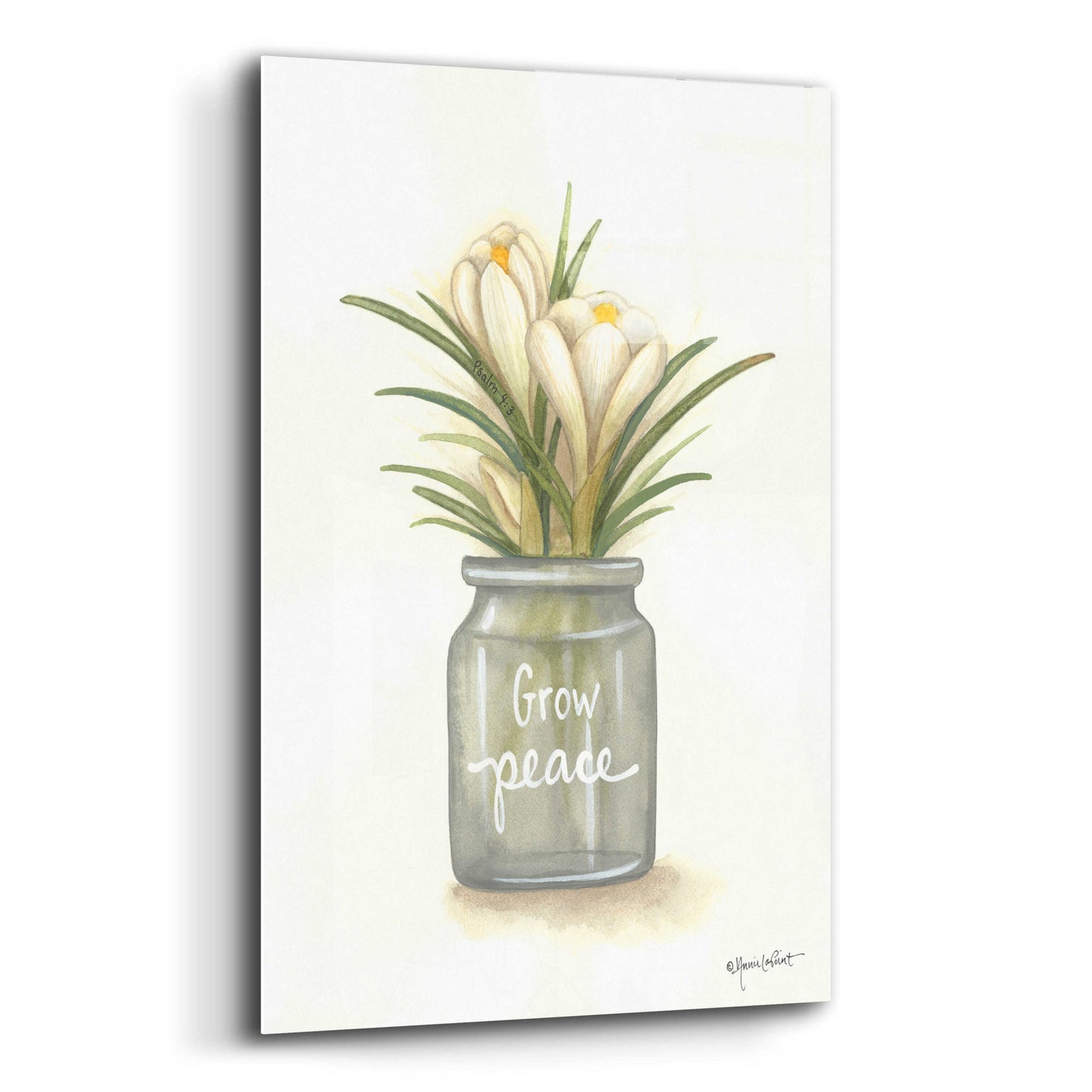 Epic Art 'Grow Peace Crocus' by Annie LaPoint, Acrylic Glass Wall Art,12x16