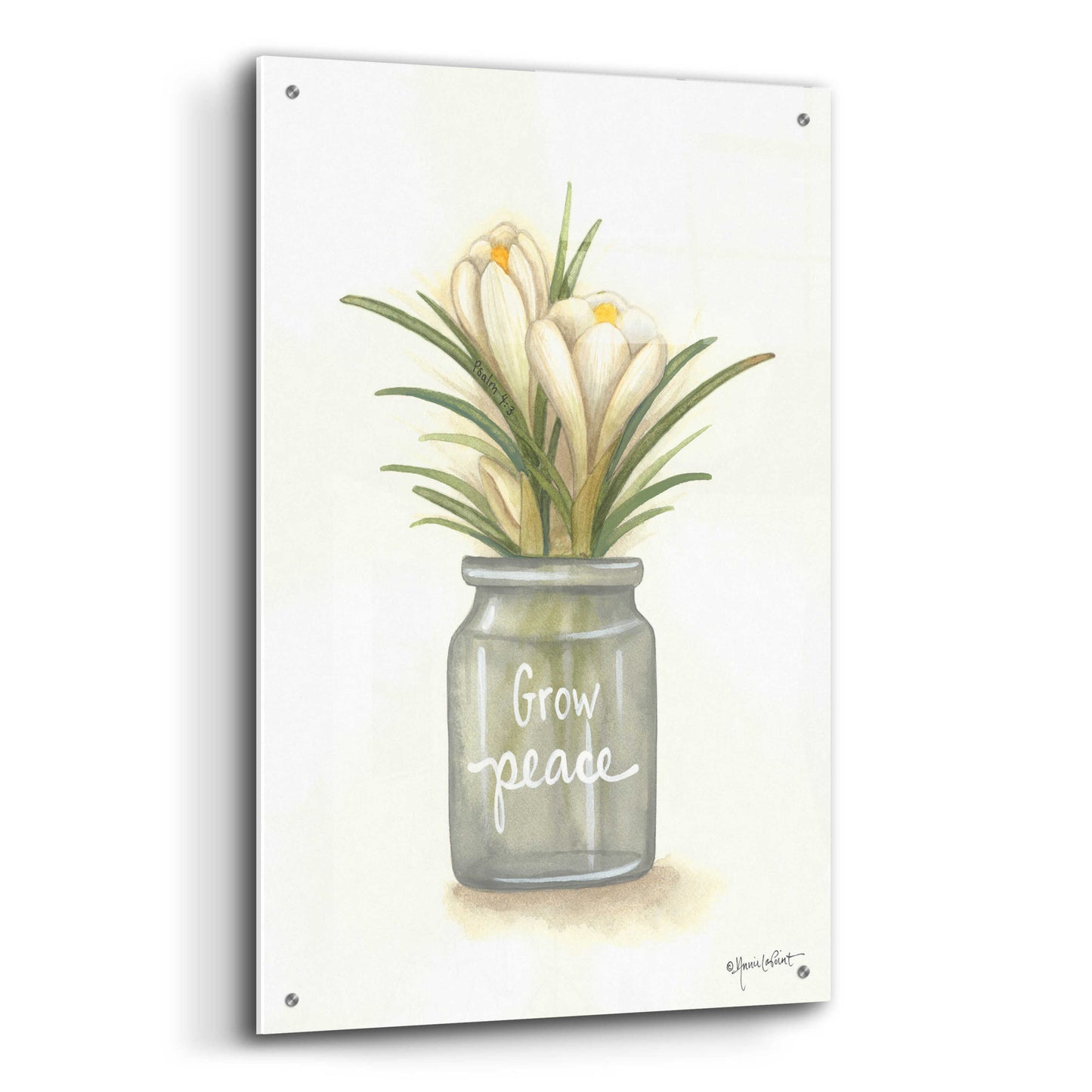 Epic Art 'Grow Peace Crocus' by Annie LaPoint, Acrylic Glass Wall Art,24x36
