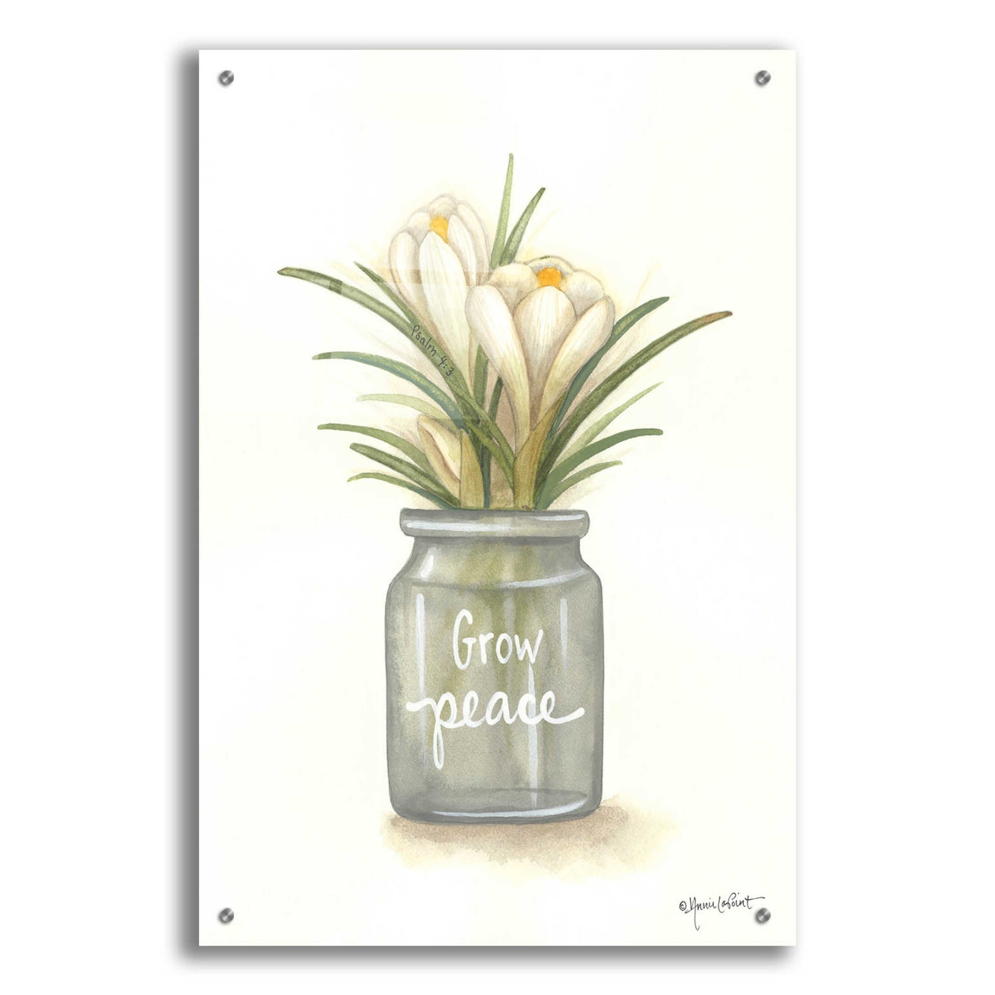 Epic Art 'Grow Peace Crocus' by Annie LaPoint, Acrylic Glass Wall Art,24x36