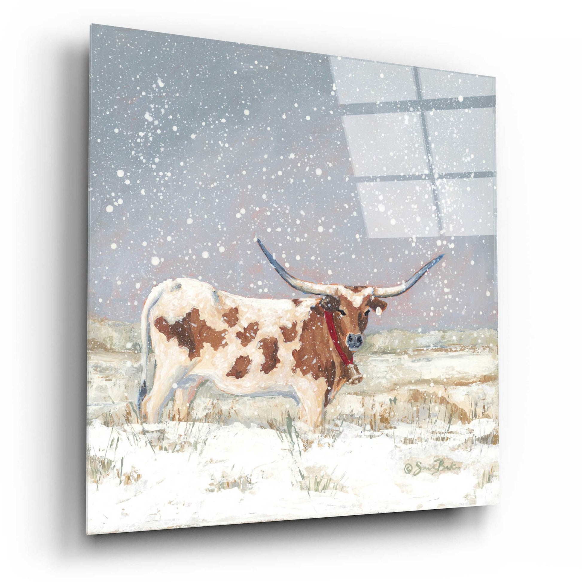 Epic Art 'Longhorn Holiday  ' by Sara Baker, Acrylic Glass Wall Art,12x12