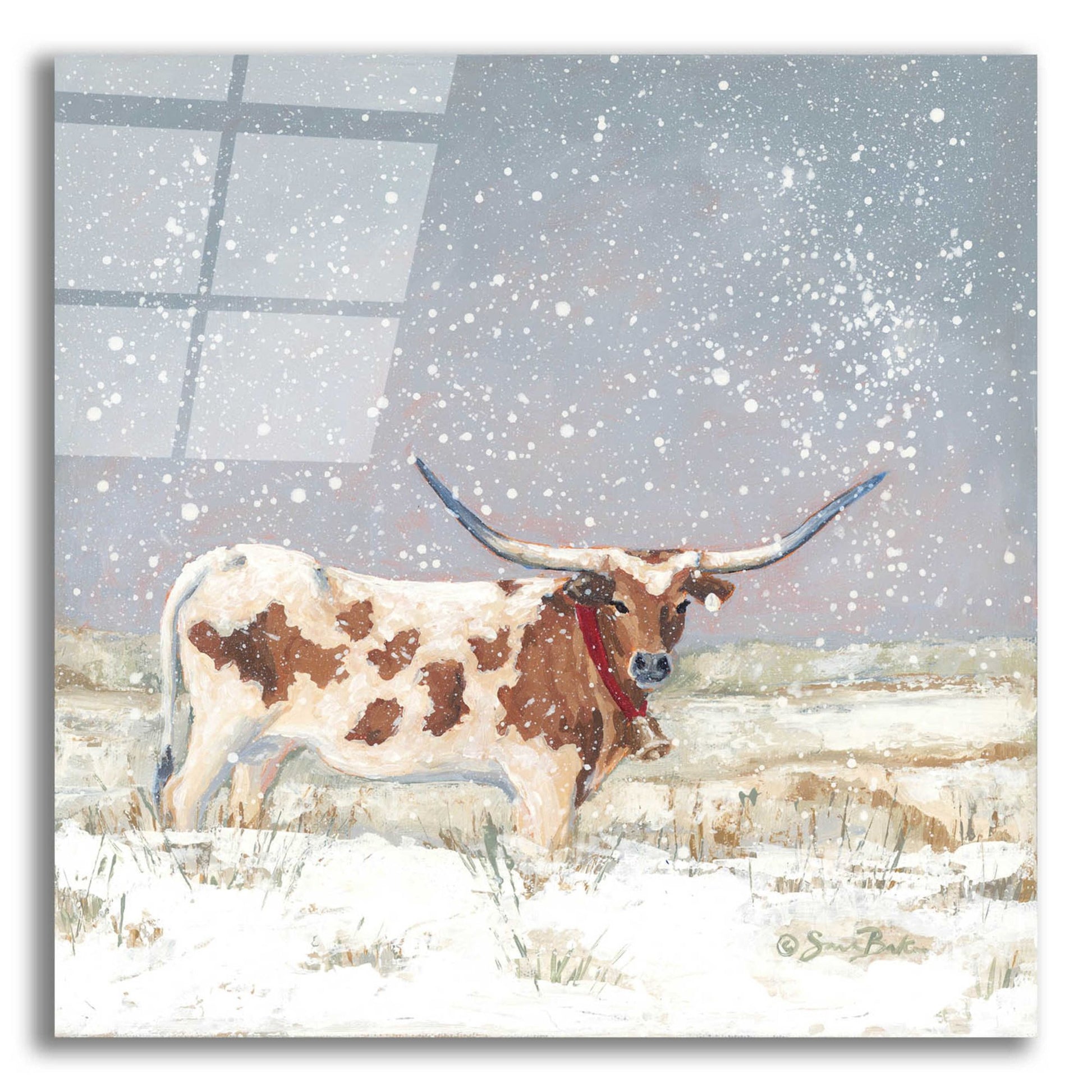 Epic Art 'Longhorn Holiday  ' by Sara Baker, Acrylic Glass Wall Art,12x12