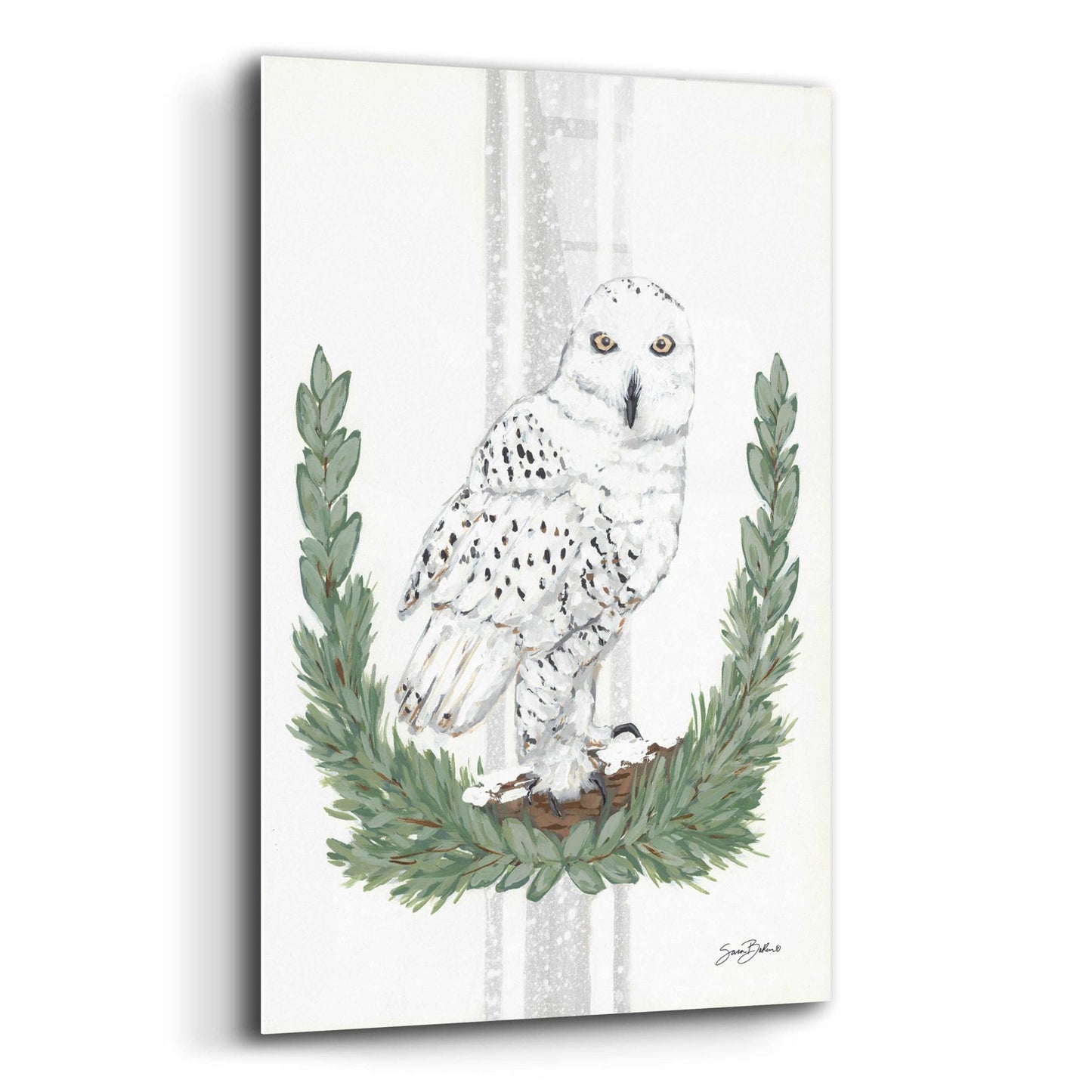 Epic Art 'Arctic Winter Owl  ' by Sara Baker, Acrylic Glass Wall Art,12x16