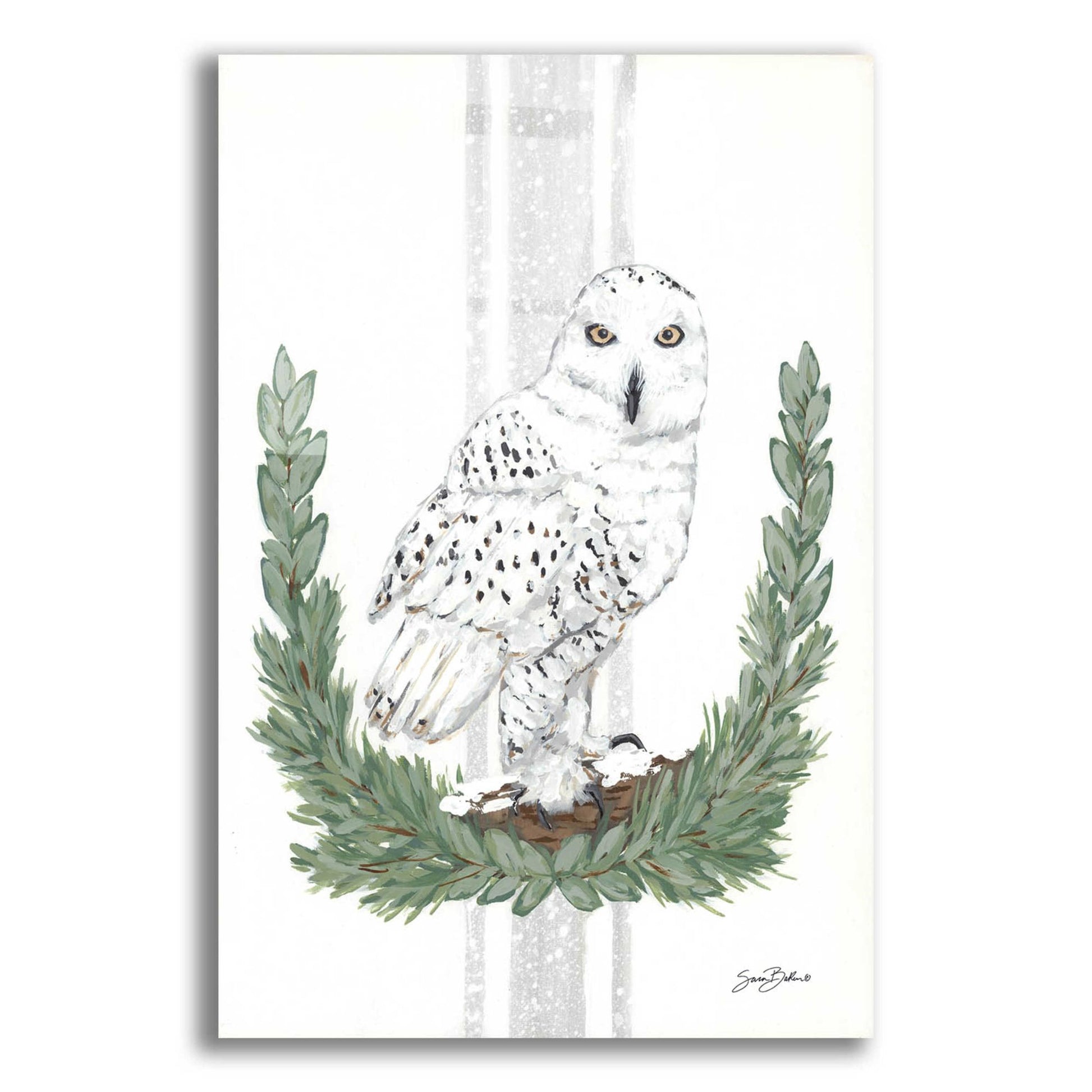 Epic Art 'Arctic Winter Owl  ' by Sara Baker, Acrylic Glass Wall Art,12x16