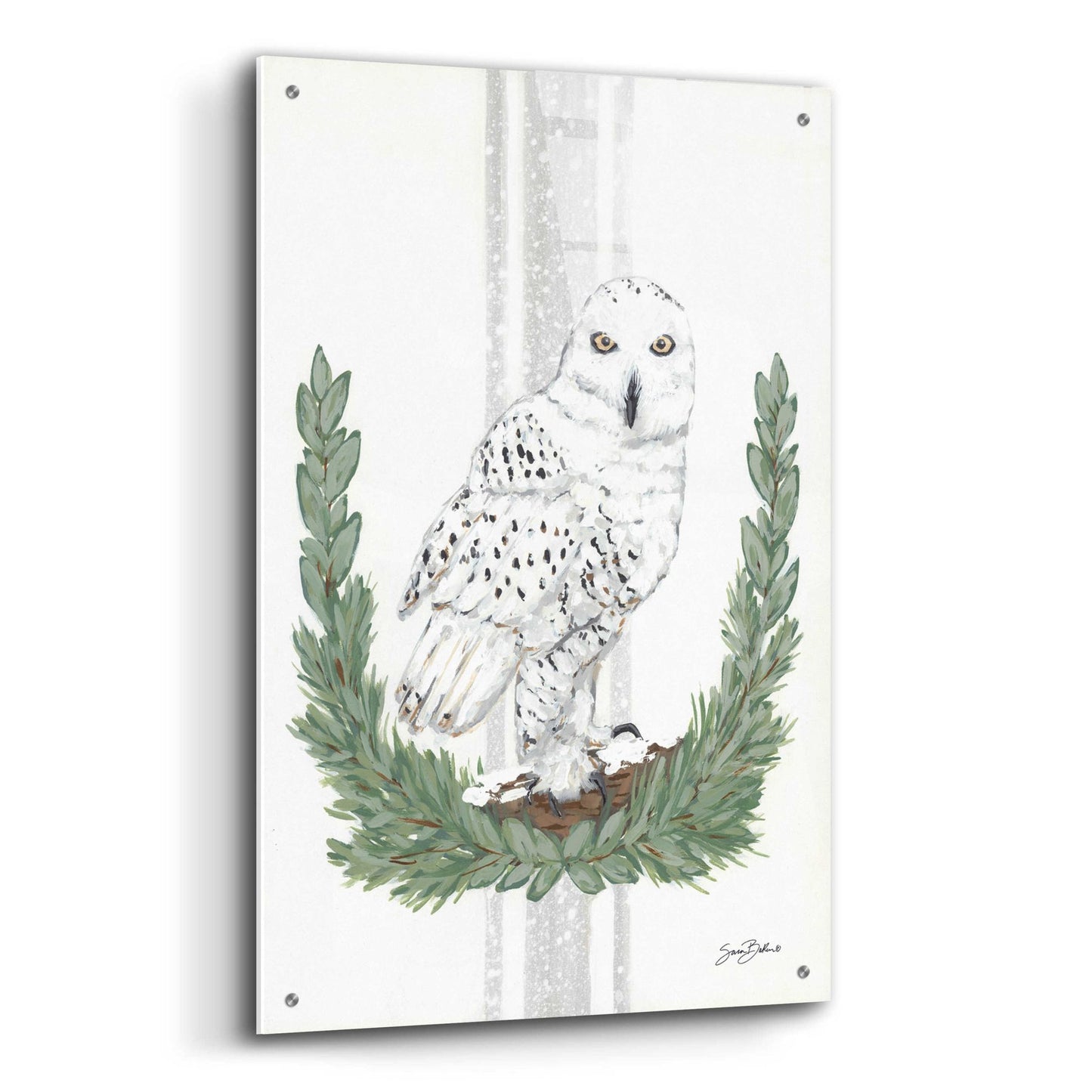 Epic Art 'Arctic Winter Owl  ' by Sara Baker, Acrylic Glass Wall Art,24x36