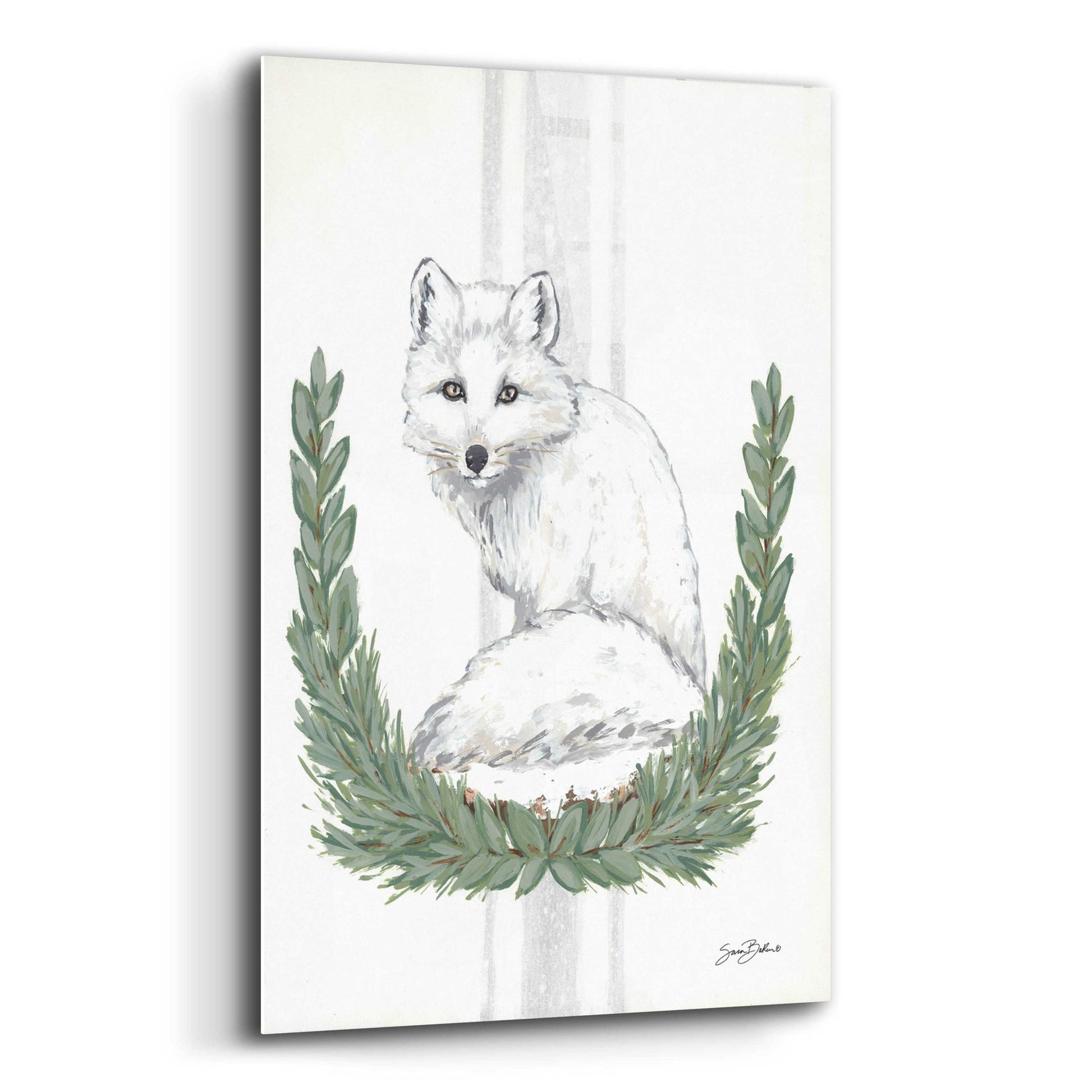 Epic Art 'Arctic Winter Fox  ' by Sara Baker, Acrylic Glass Wall Art,12x16