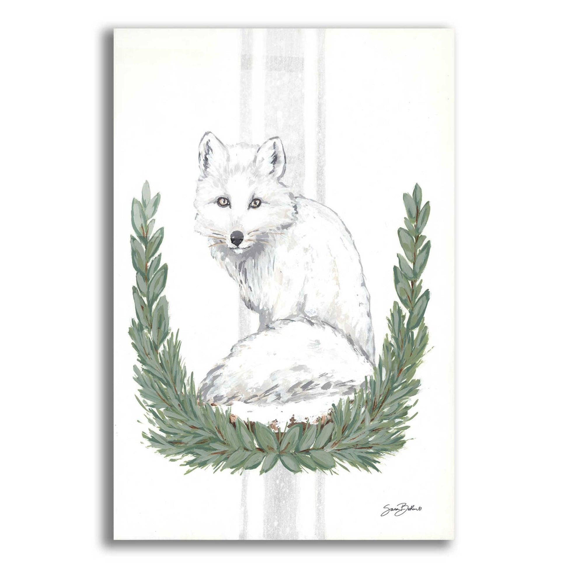 Epic Art 'Arctic Winter Fox  ' by Sara Baker, Acrylic Glass Wall Art,12x16